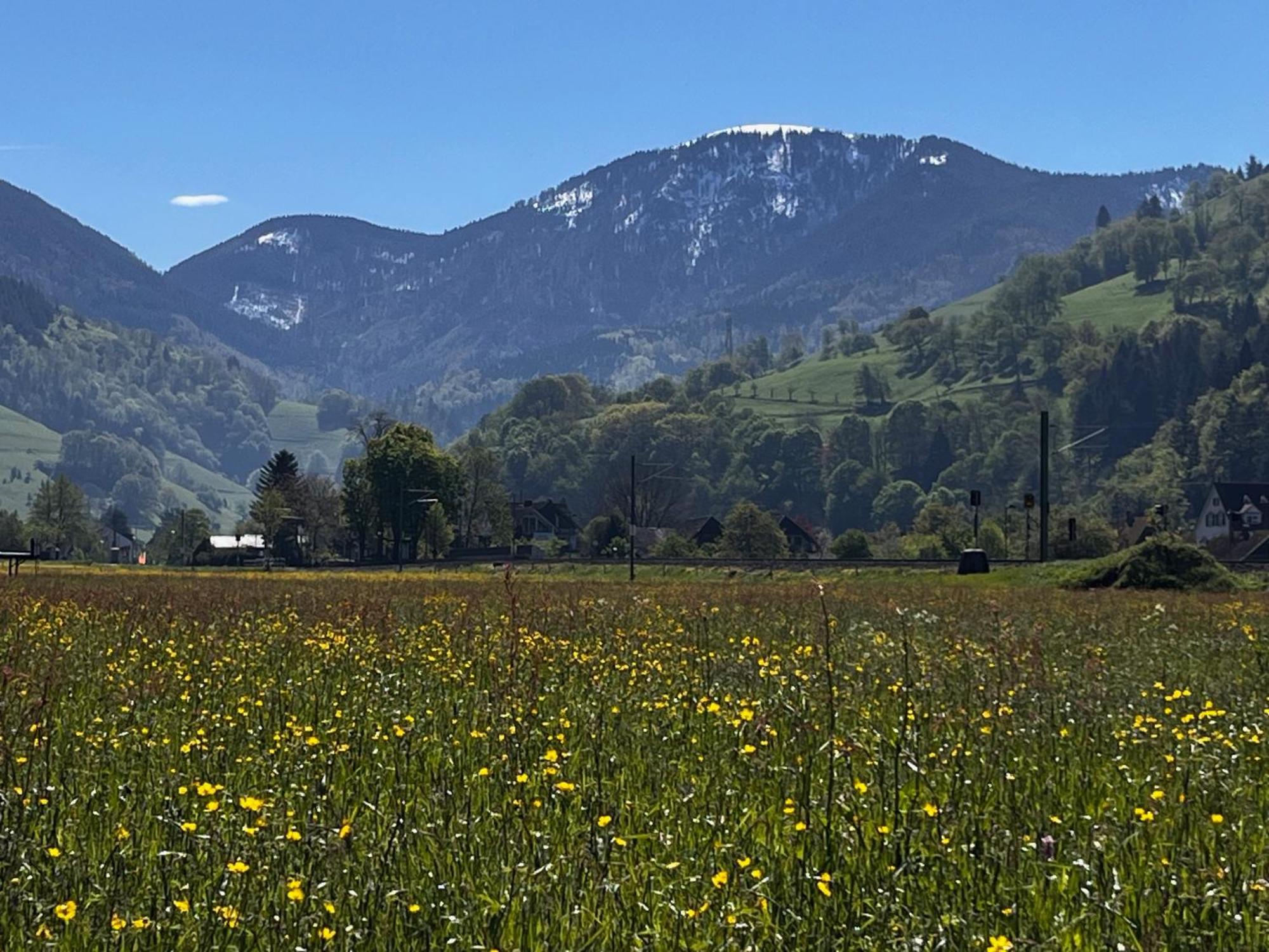 Ferienzimmer Bergblick Münstertal Eksteriør billede
